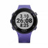 Часы Garmin Forerunner 45S ирис