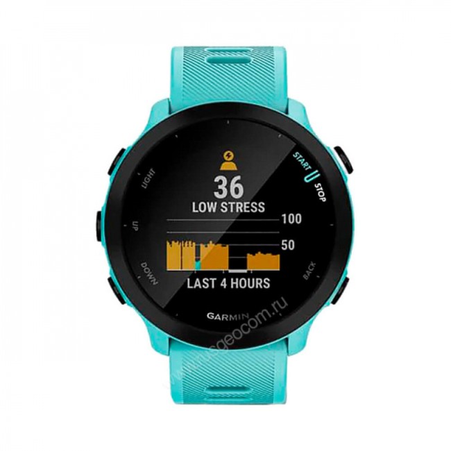 Часы Garmin Forerunner 55 аква